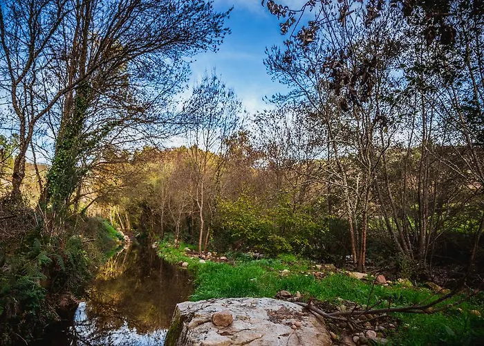 Cascata Do Varosa - Gospodarstwo agroturystyczne Vila Pouca (Viseu)